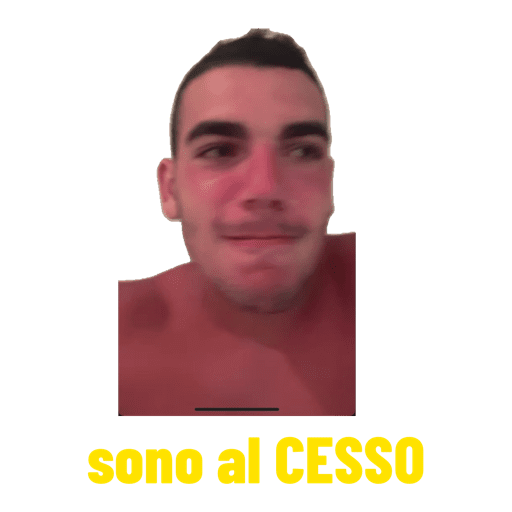 I miei adesivi 6