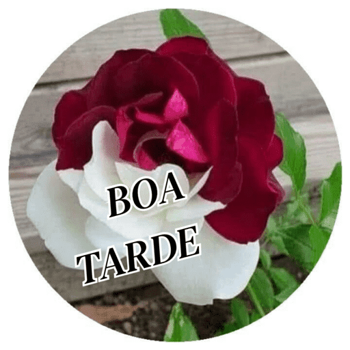 Flor 2