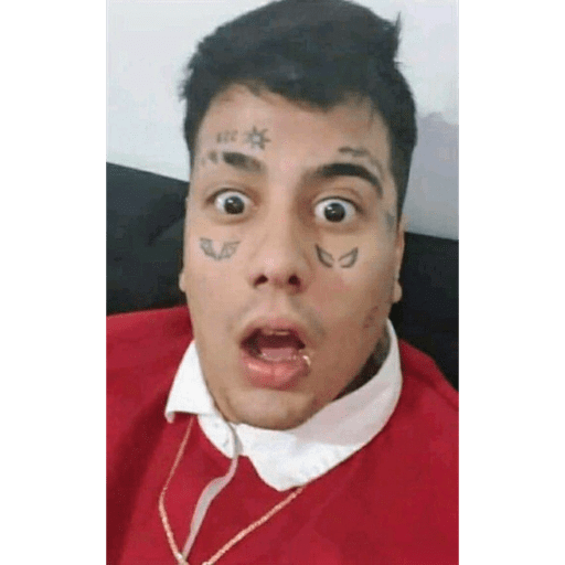 El DUKOO stikers 🔥🥴 18