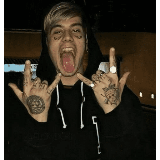 El DUKOO stikers 🔥🥴 16