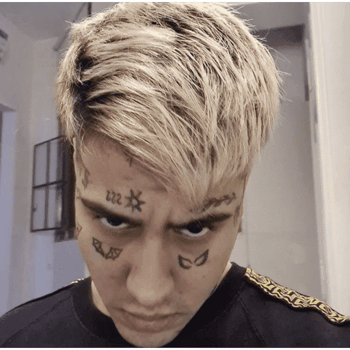 El DUKOO stikers 🔥🥴 23