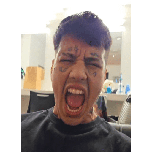 El DUKOO stikers 🔥🥴 24