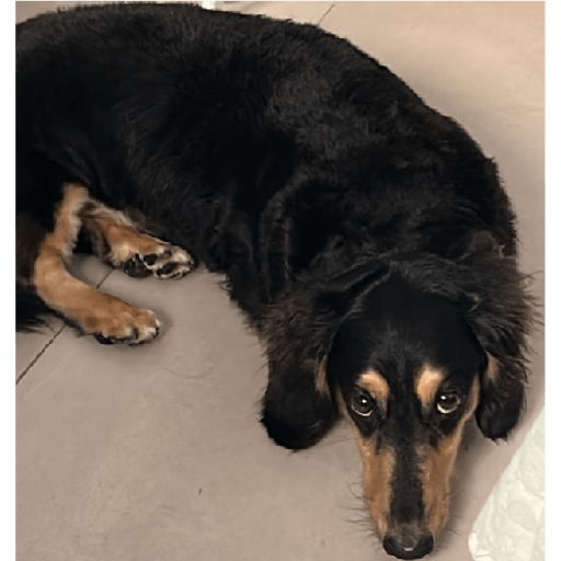 Max 1