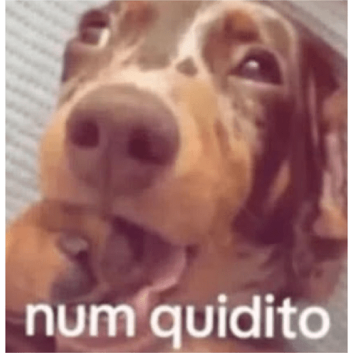 Max 2