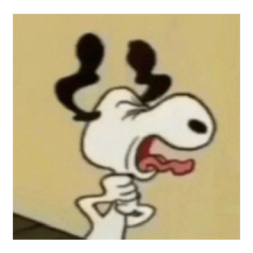 Max 17
