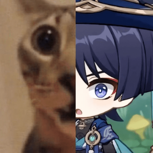 Genshin meme 18