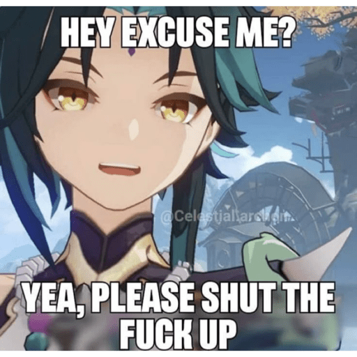 Genshin meme 28