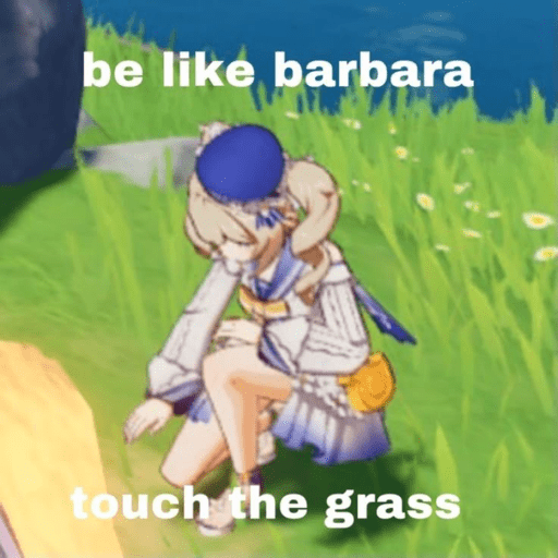 Genshin meme 29