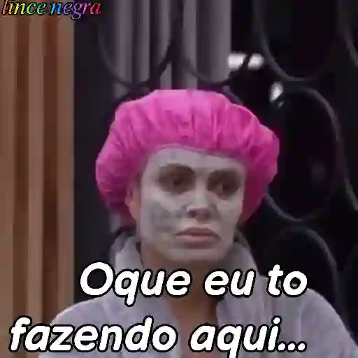 Figurinhas da lince 22