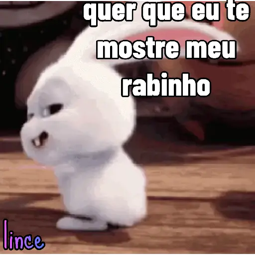 Figurinhas da lince 7