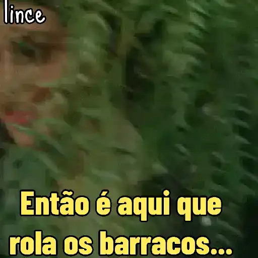 Figurinhas da lince 14