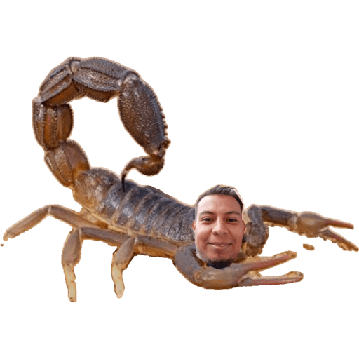Mr D. 8