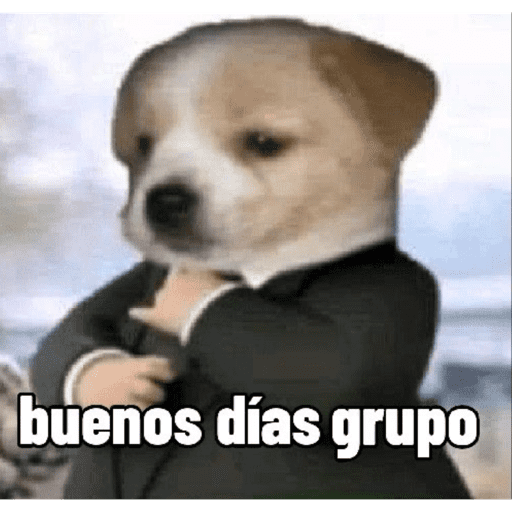 Xd ajjaaa 24