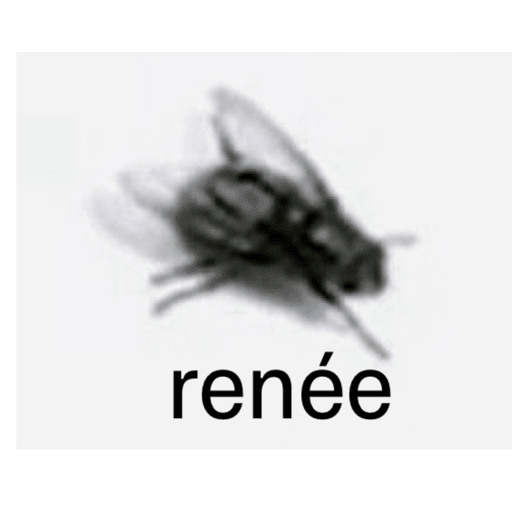 Xd ajjaaa 19