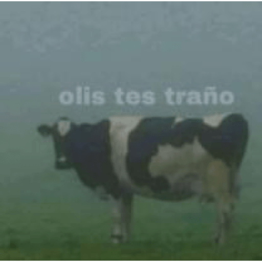 Que ves pvto 16