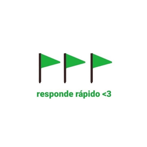 Que ves pvto 11