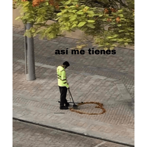 Que ves pvto 2