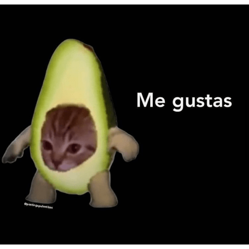 Que ves pvto 7