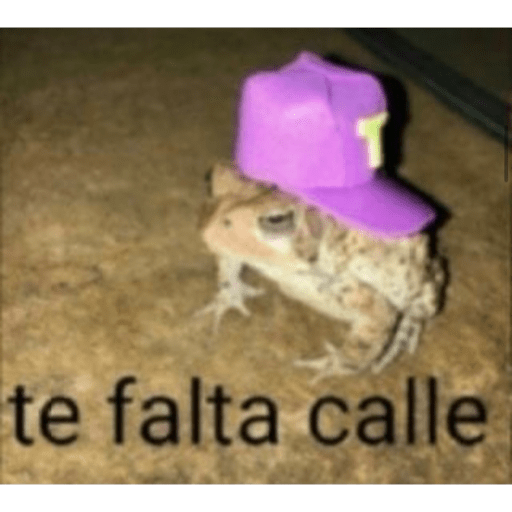 Que ves pvto 6