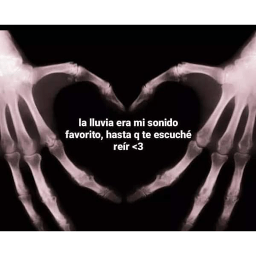 Que ves pvto 17