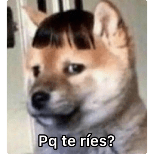 Que ves pvto 10