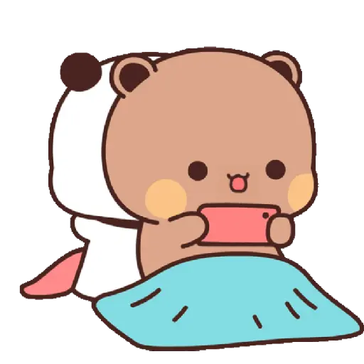 Bubu Dudu (Bear Panda) 3 14