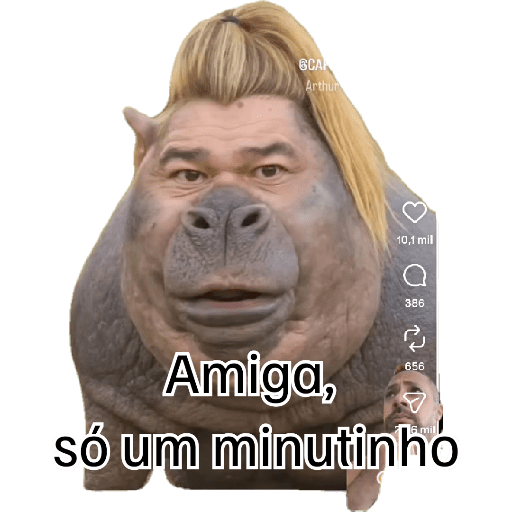 Minhas figurinhas 20