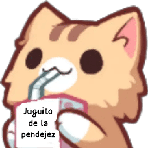 Paquete 1 20
