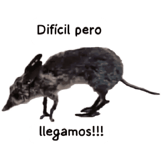 Paquete 1 25