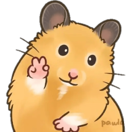 Paquete 1 21