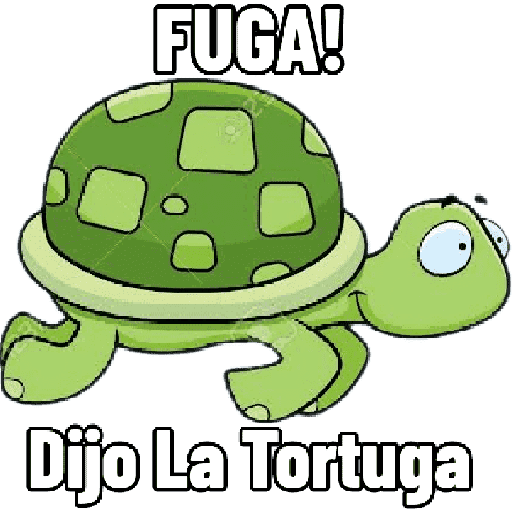 Paquete 1 19
