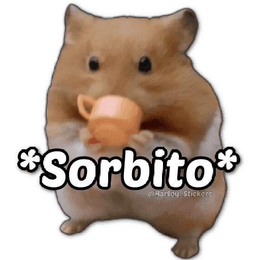 Paquete 1 10