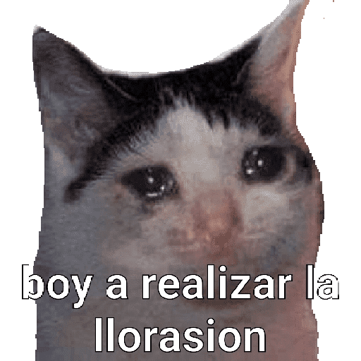 Paquete 1 29