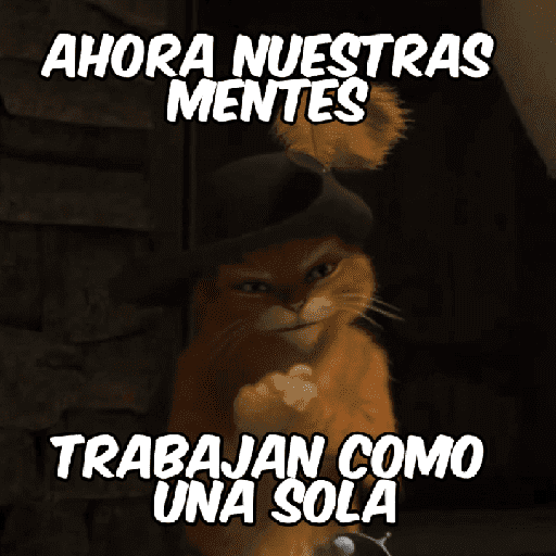 Paquete 1 15