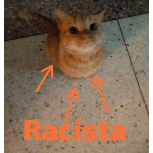 Animalitos 10.0 23