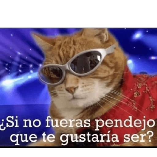 Animalitos 10.0 26