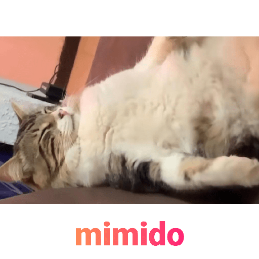Animalitos 10.0 25