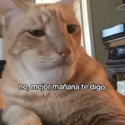 Animalitos 10.0 4