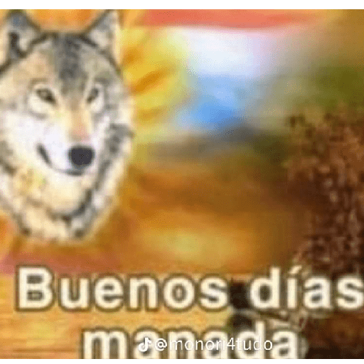 Animalitos 10.0 12