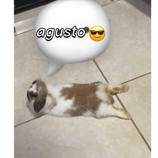 No se que poner 3