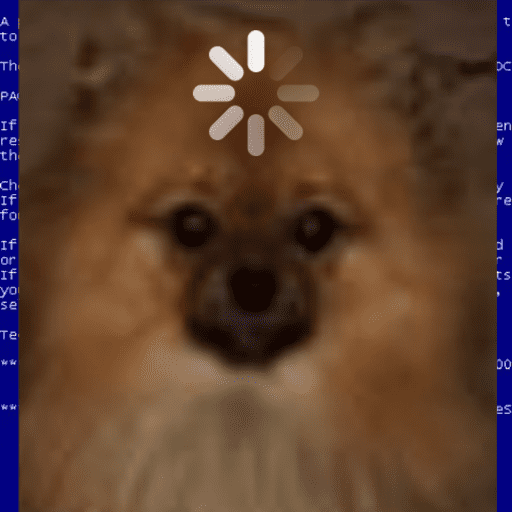 Cachorros fodasticos 4