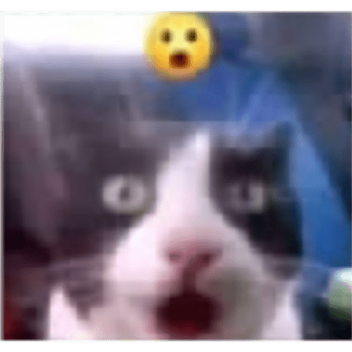 Meme indo v 2.0 30