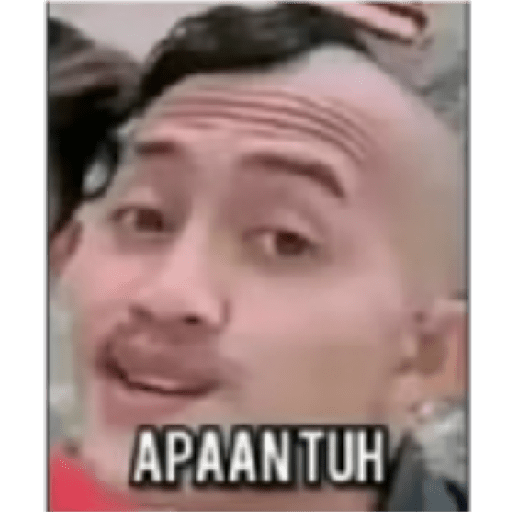 Meme indo v 2.0 28