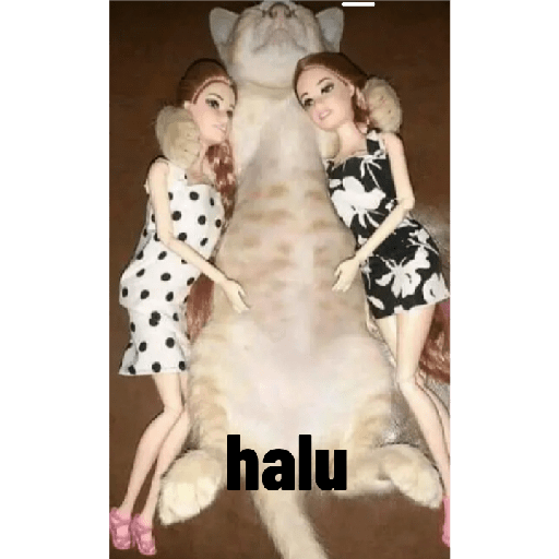 Meme indo v 2.0 16