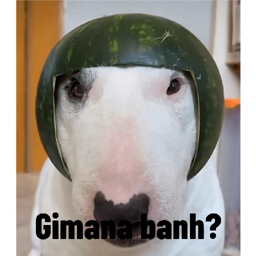 Meme indo v 2.0 8