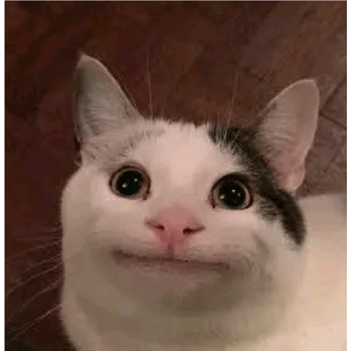 Meme indo v 2.0 24