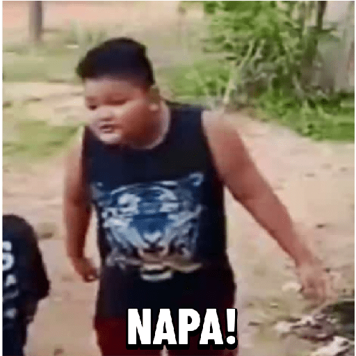 Meme indo v 2.0 29
