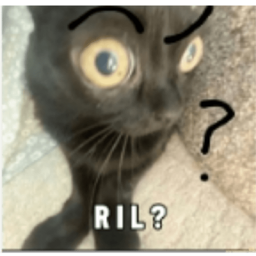 Meme indo v 2.0 27
