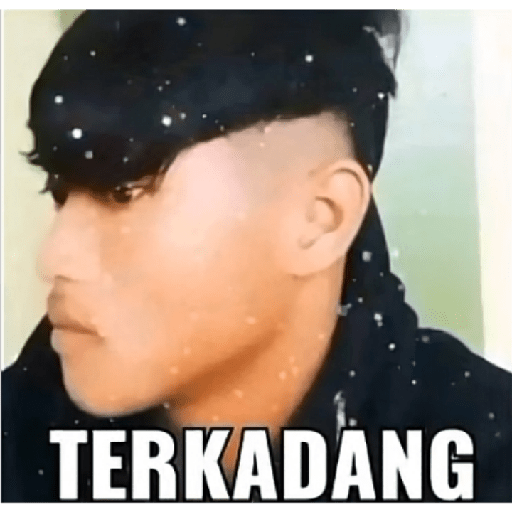 Meme indo v 2.0 22