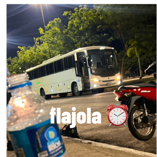 Ônibus 